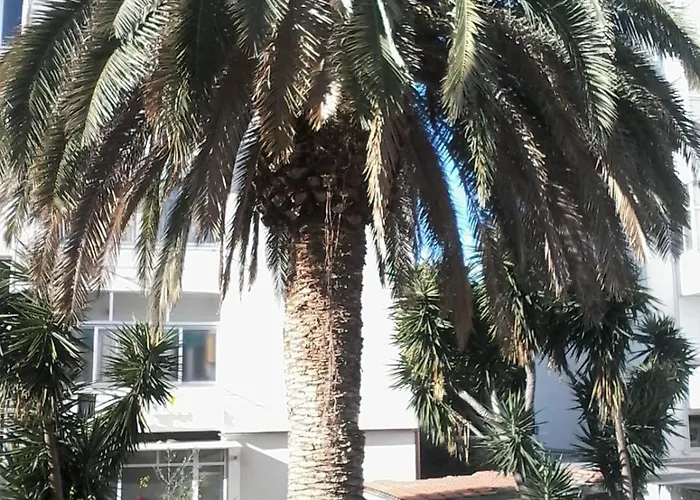 La Palma