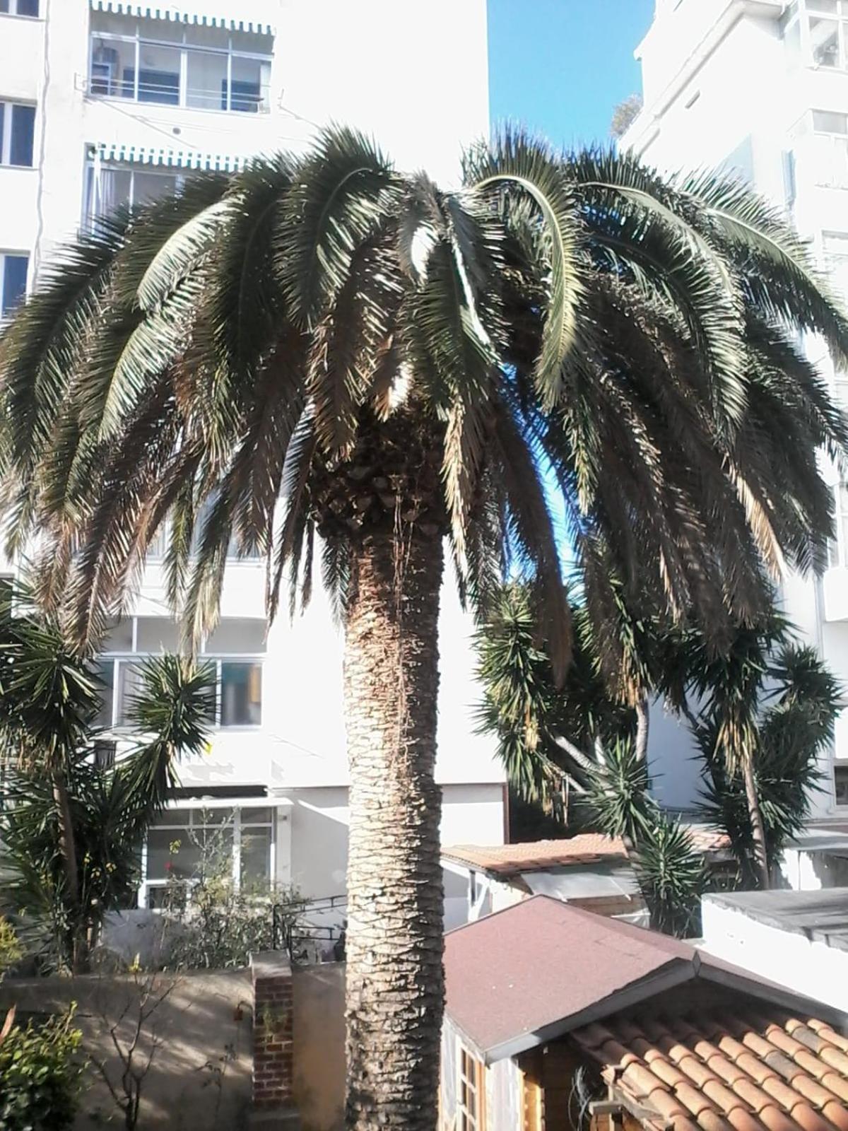 La Palma Alloggio in famiglia *