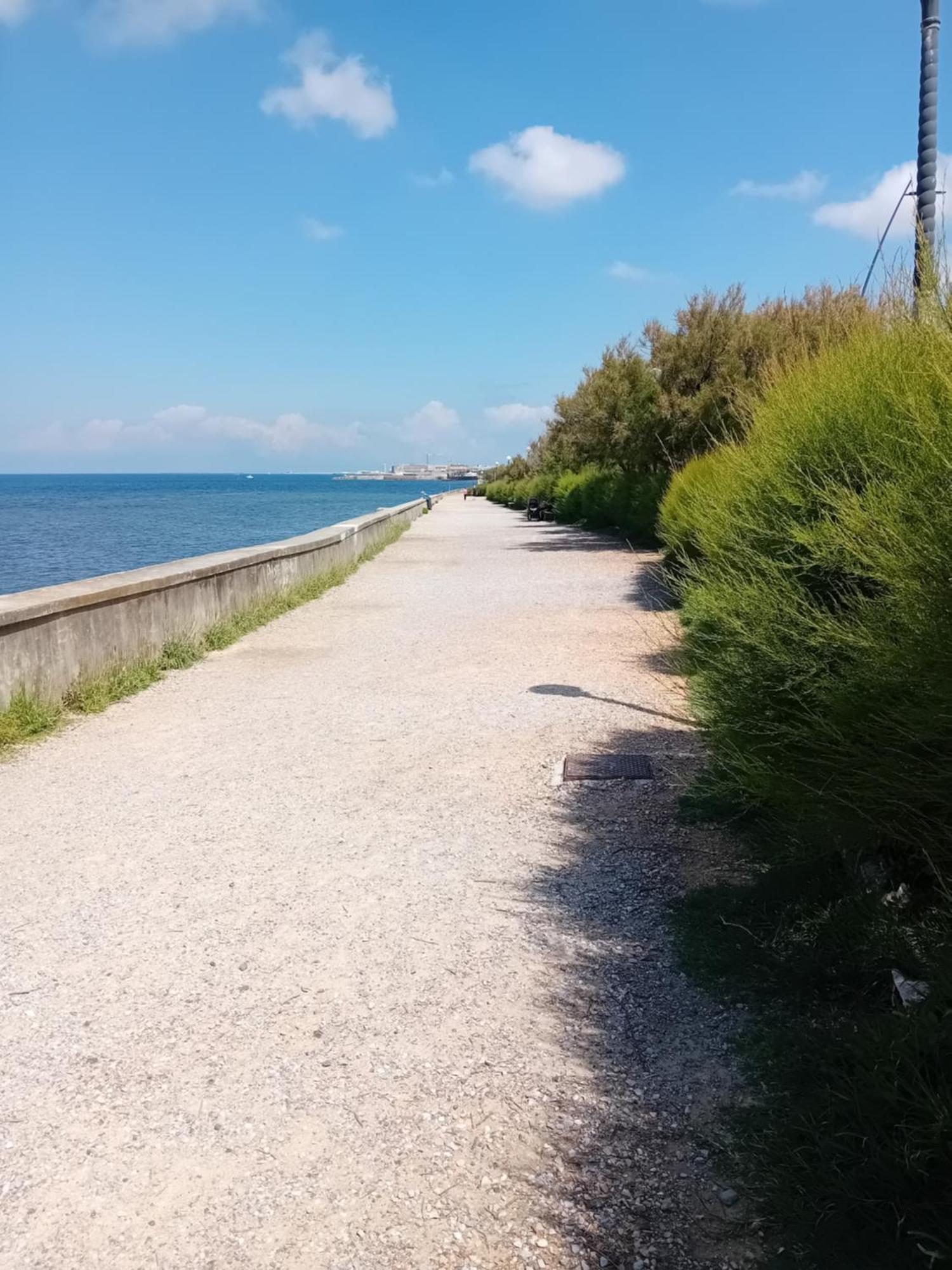 Alloggio in famiglia La Palma Livorno